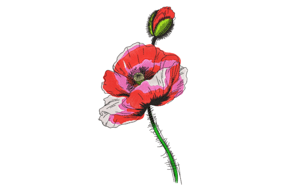 Red Poppy Flower Embroidery Review